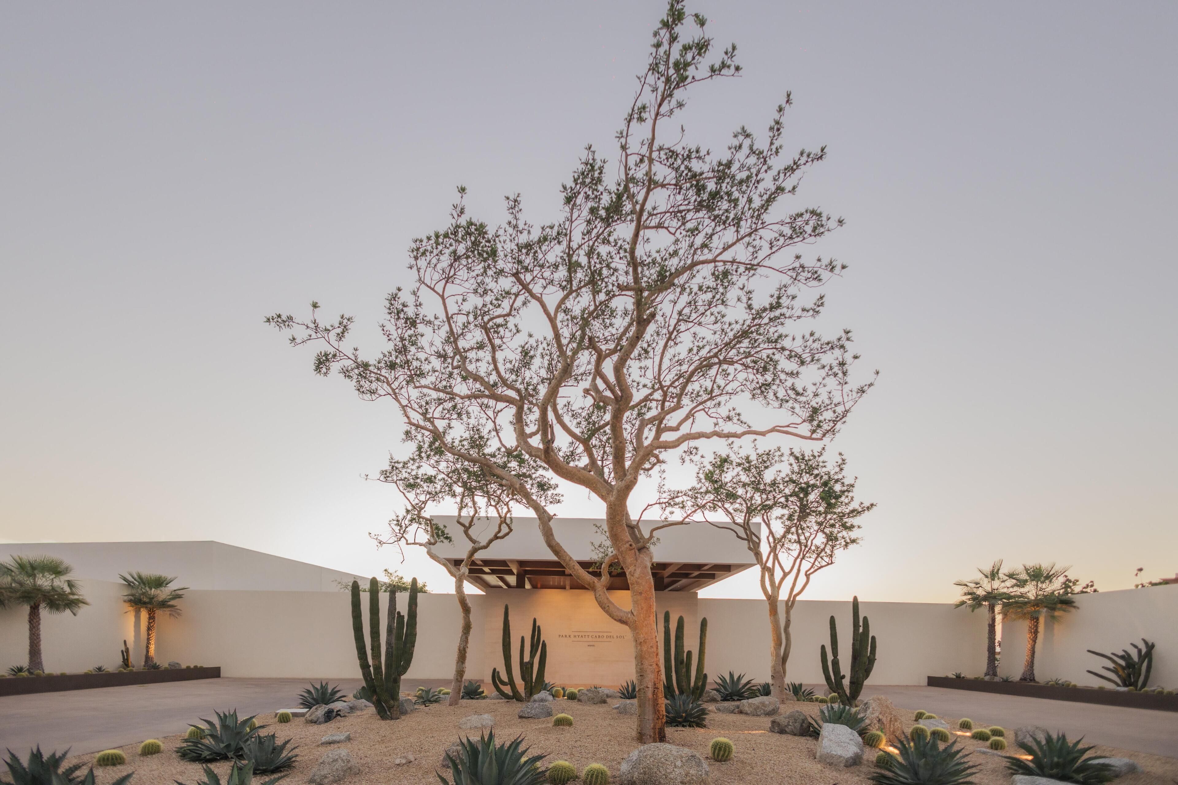 Foto - Park Hyatt Cabo Del Sol