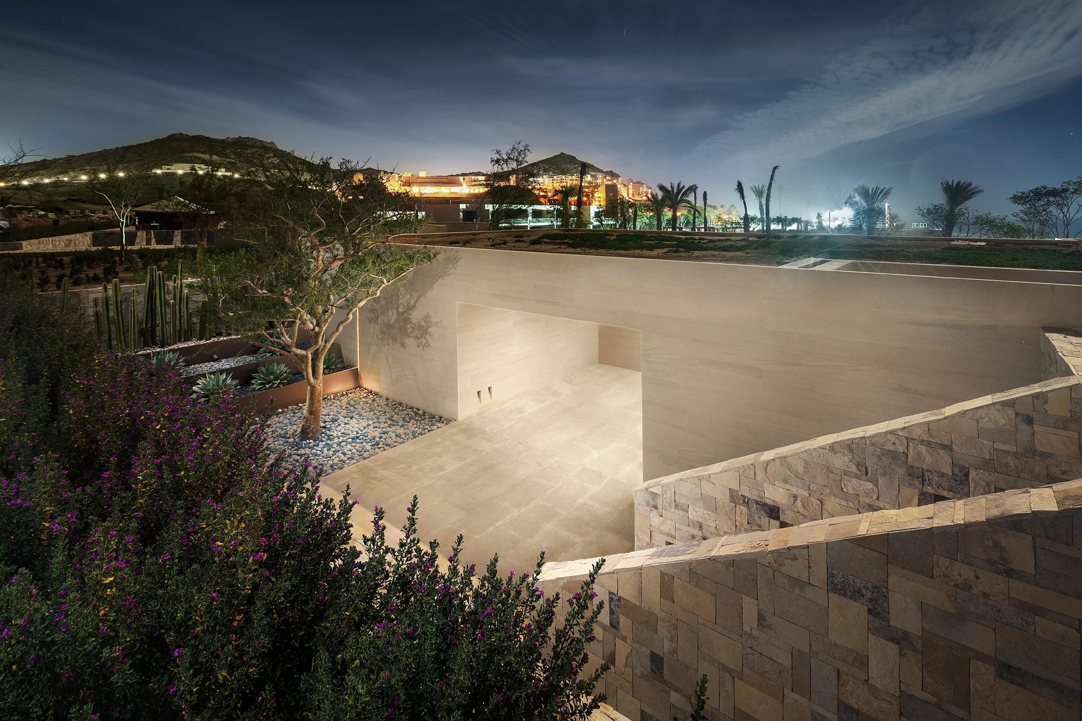 A landscaped outdoor area with a paved walkway, a stone wall, and a variety of plants including cacti and flowering shrubs.