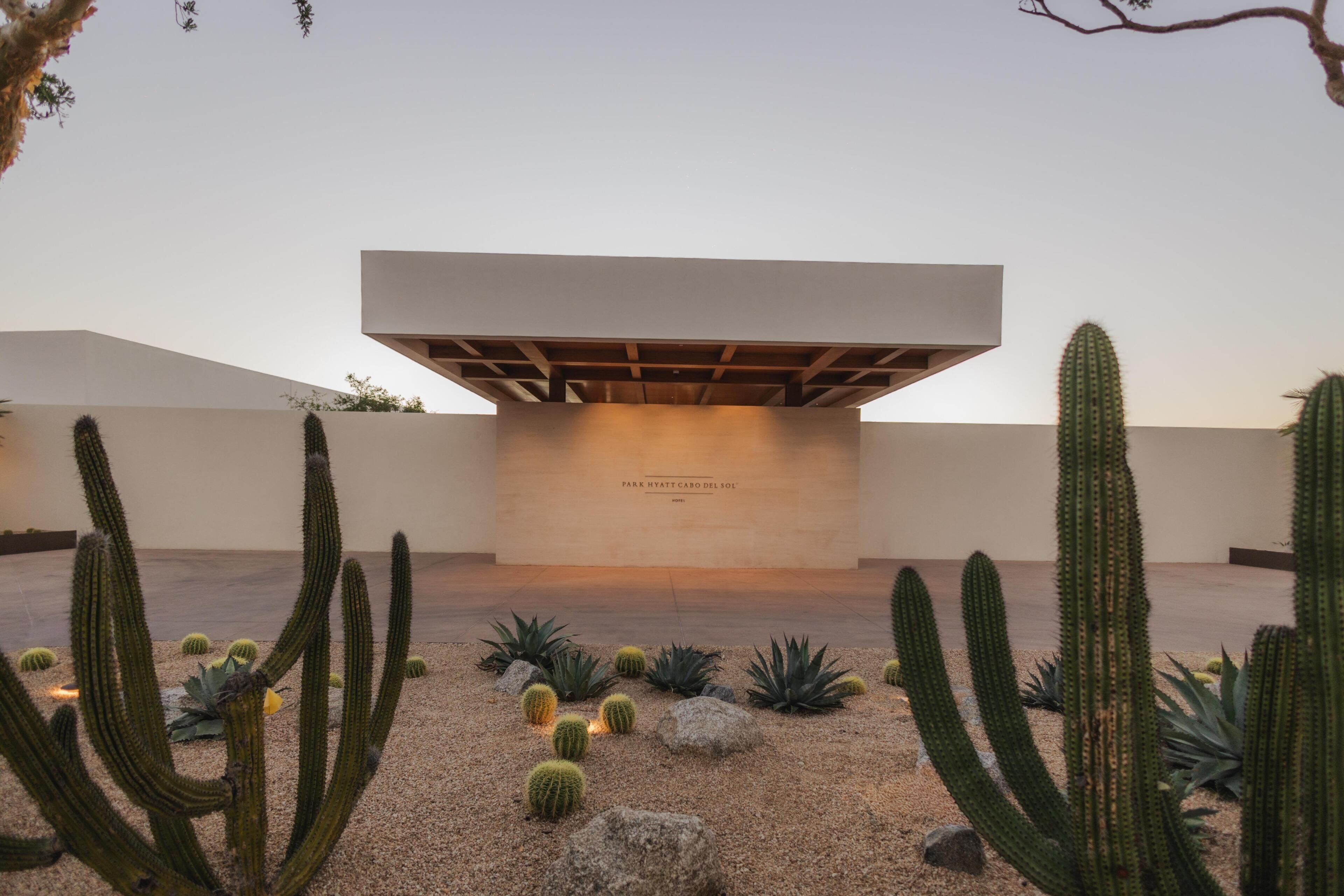 Un bâtiment moderne doté d’un toit plat et d’une large corniche, entouré de cactus et de rochers.