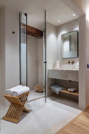 Shower, hair dryer, towels