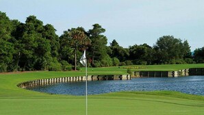 Ein Golfplatz mit einem Wasserschutzhindernis, einer Fahne und einem gepflegten Grün.
