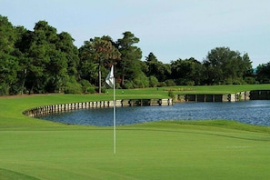 Un campo de golf con un obstáculo acuático, un mástil de bandera y un green bien cuidado.
