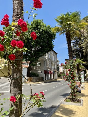 Exterior - Luxurious Apartment Villa Sokol Opatija center (Opatija)