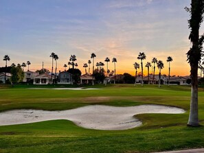 A golf course with sand bunkers, palm trees, and houses in the background.