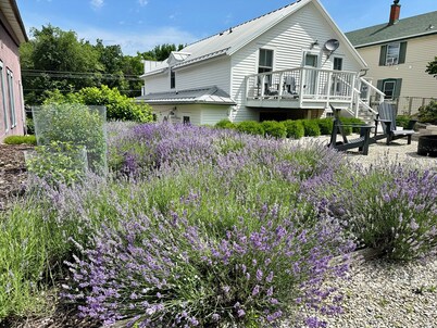 Within walking distance of all the amenities!  Bike the trail~ float the river