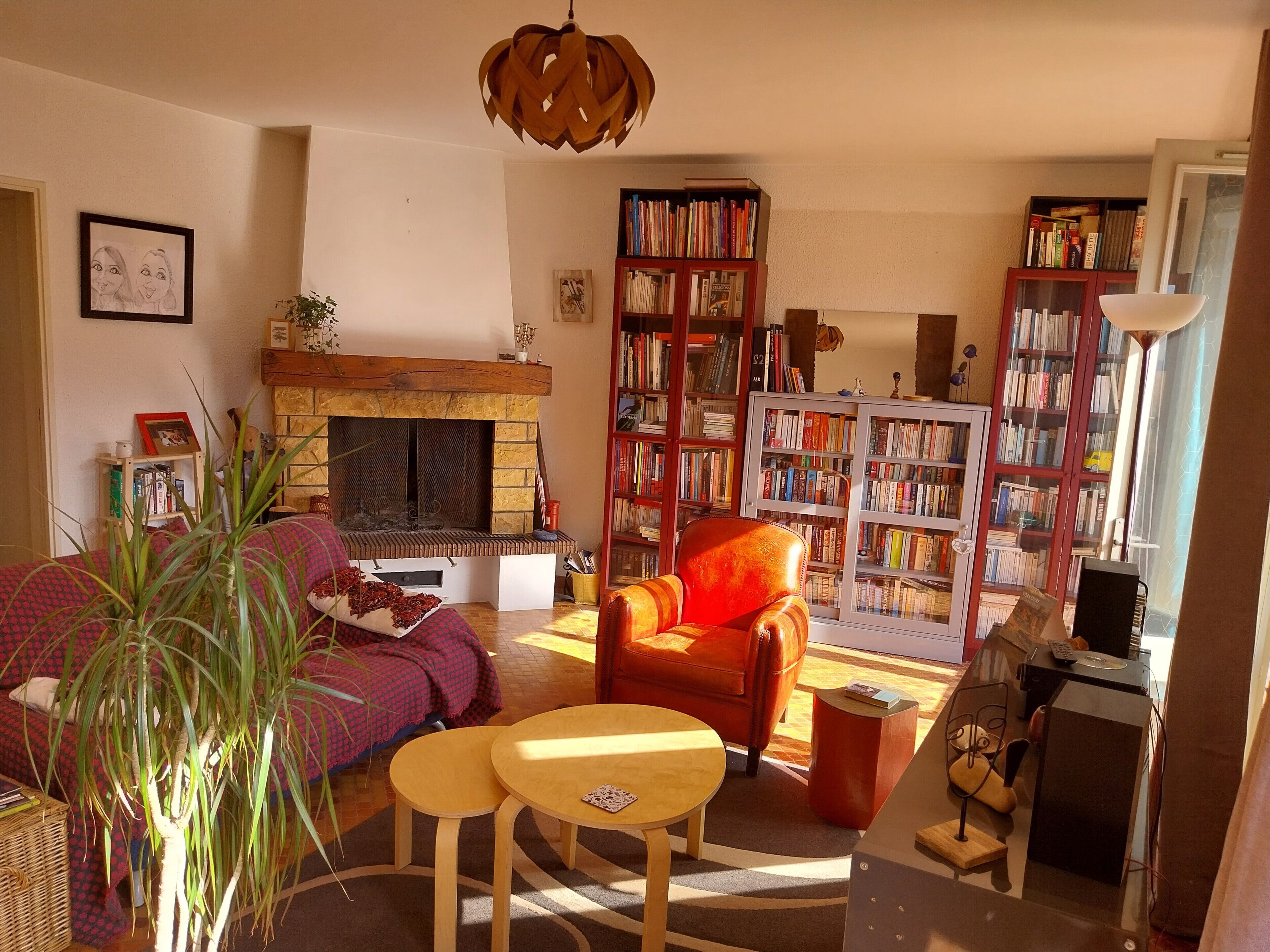 Télévision, cheminée, livres, chaîne hi-fi