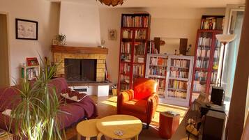 Télévision, cheminée, livres, chaîne hi-fi