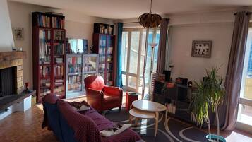 Télévision, cheminée, livres, chaîne hi-fi