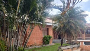 A residential area with a brick house, a small garden, and palm trees.