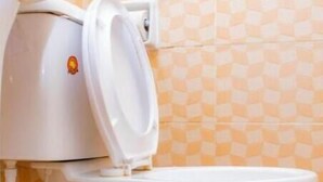 Des toilettes avec un réservoir et un couvercle blancs, une poignée de chasse d'eau visible et un abattant blanc.