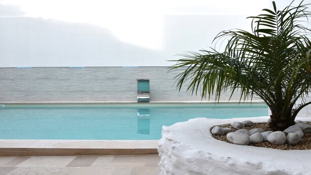 A swimming pool with a modern design, a palm tree, and a stone planter with rocks.