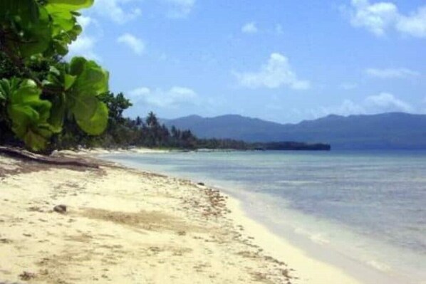 Beach - La Casita del Patio, Las Galeras, Samana (Las Galeras)