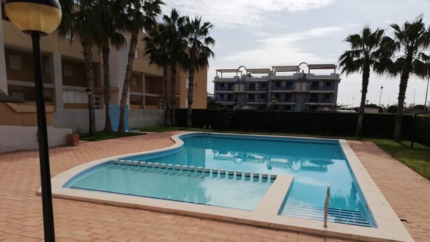 A rectangular swimming pool with a tiled deck, surrounded by palm trees and a building in the background.