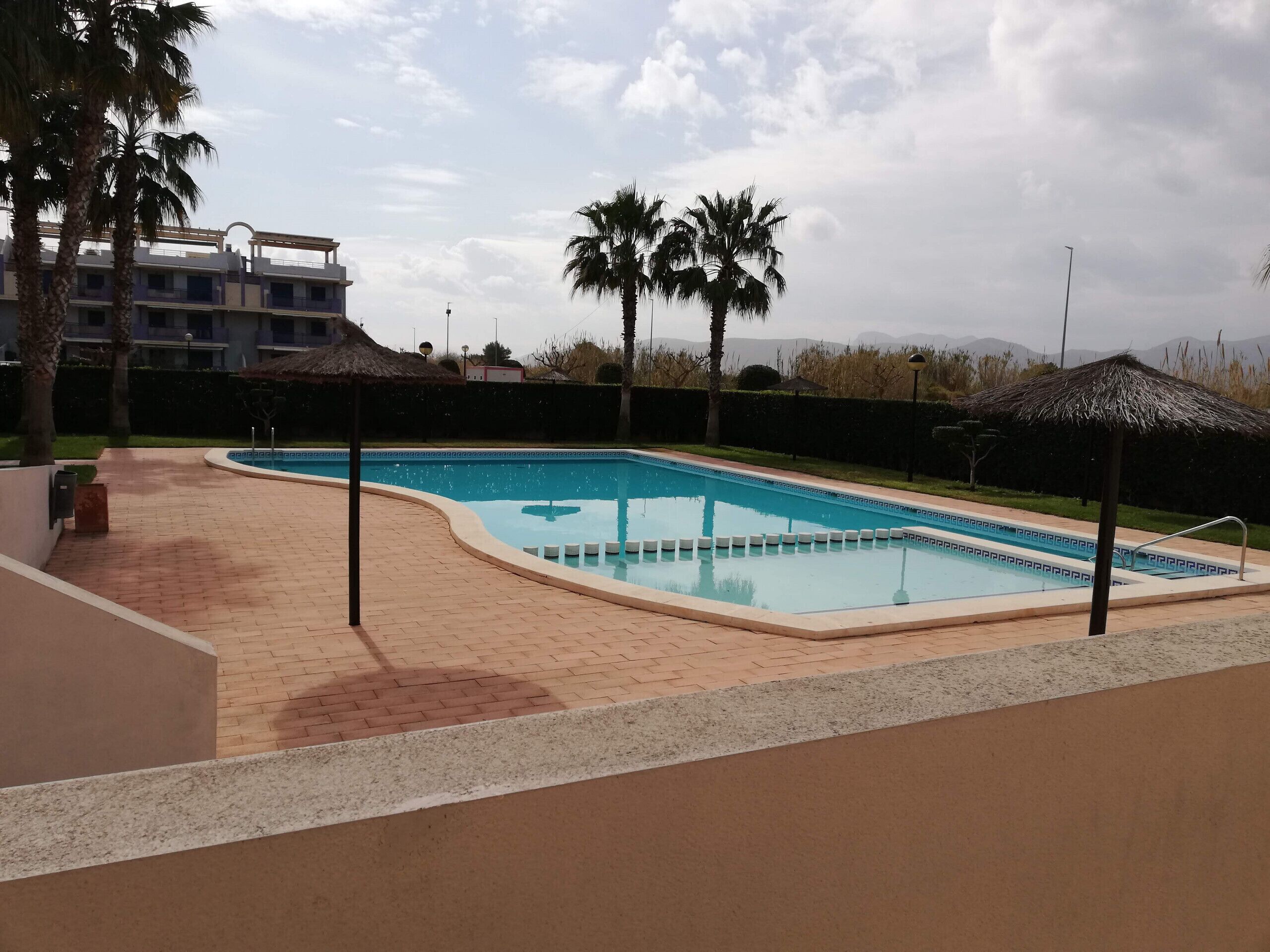 A swimming pool with a tiled deck, surrounded by palm trees and a building in the background.