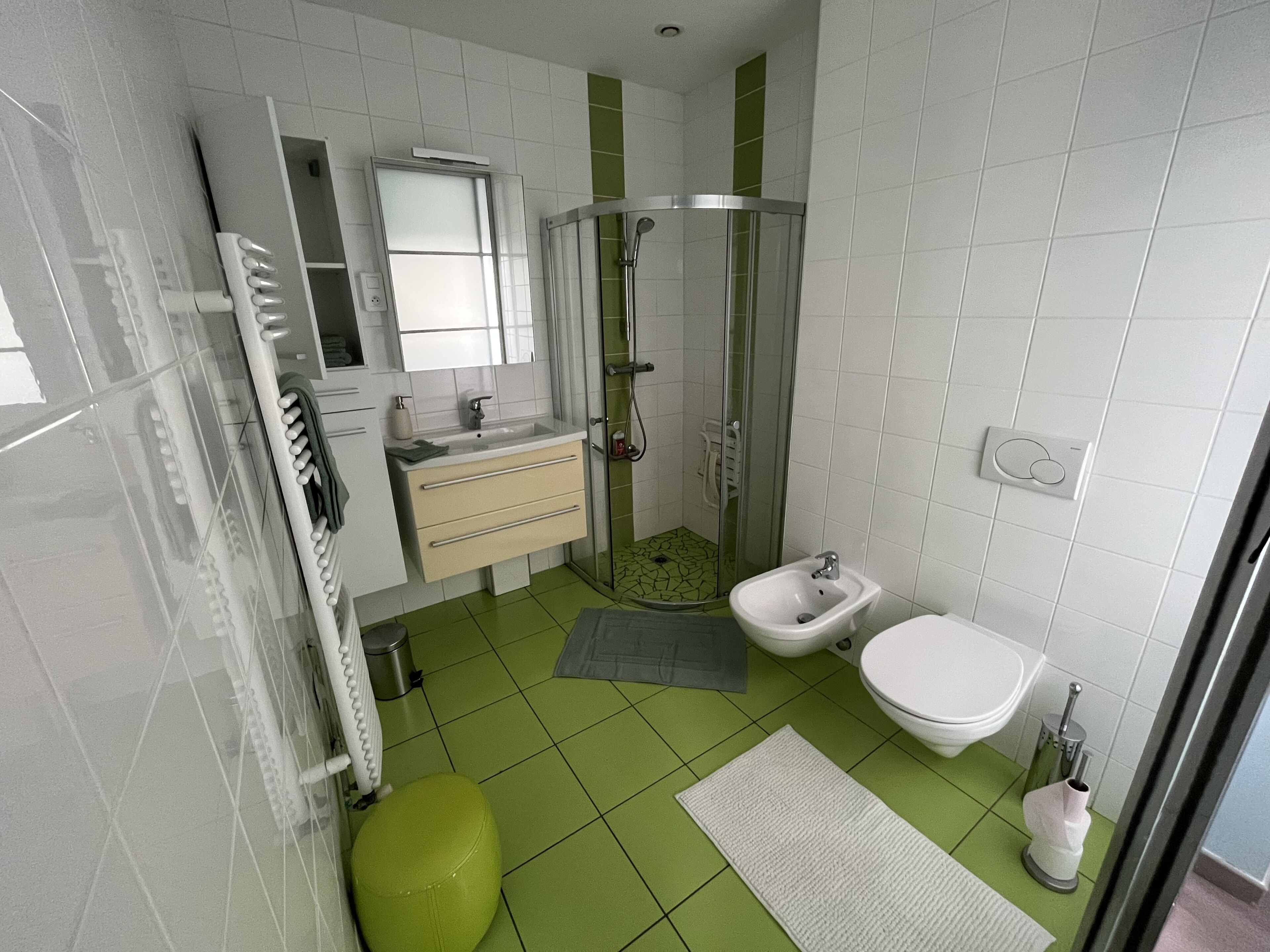 Bruser, hårtørrer, bidet, håndklæder