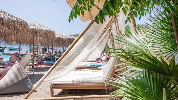 Una playa con sombrillas de paja, sillones de madera y una palmera.