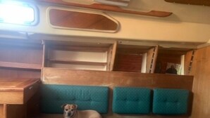Een hond rust uit op een met kussens beklede bank met een houten hoofdsteun en een raam erboven.