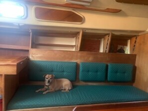 Interior - Sailboat Experience in Annapolis (Parole)