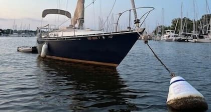 Sailboat Experience in Annapolis