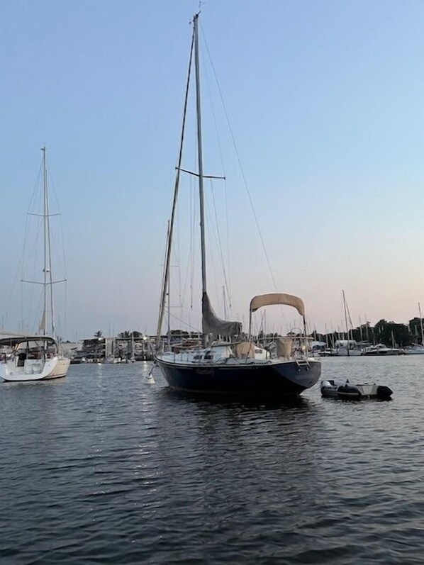 A sailboat docked at a marina with calm water and other boats in the background.