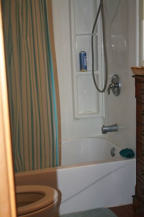 Secadora de cabello, toallas, jabón, shampoo 