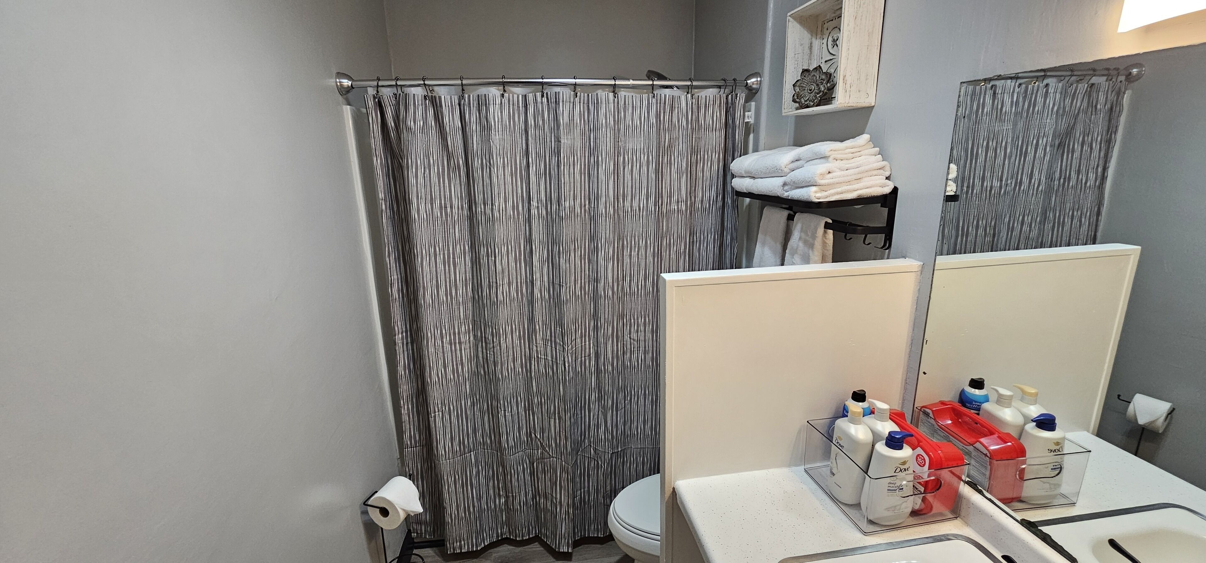 Une salle de bain avec un rideau de douche, des toilettes, un lavabo avec des articles de toilette et un miroir.