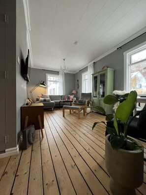 Televisie, boeken, een filmbibliotheek en een stereo