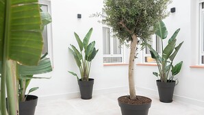 Una habitación con plantas en macetas dispuestas frente a una pared blanca, con ventanas que dejan entrar luz natural.