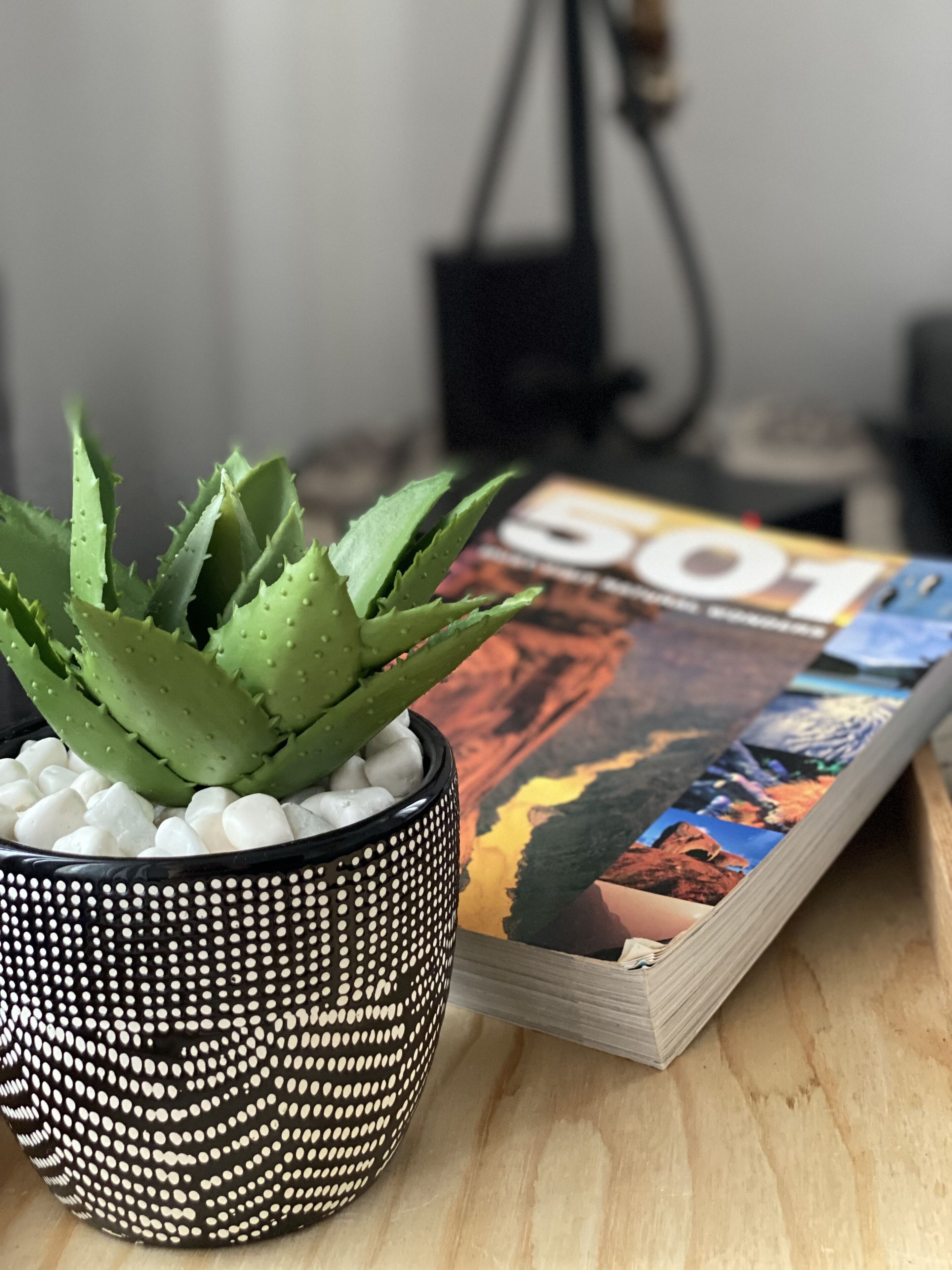 Een vetplant in een pot met witte kiezelstenen, op een houten oppervlak, naast een boek met een kleurrijke omslag.