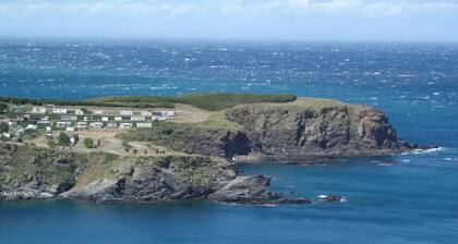 Studio a Cerbere au Calme
