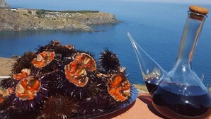 A seaside view with a plate of sea urchins and a bottle of red wine on a terrace. - Studio a Cerbere au Calme (Cerbère)