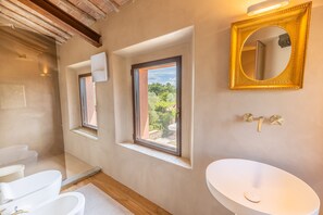 Shower, hair dryer, bidet, towels