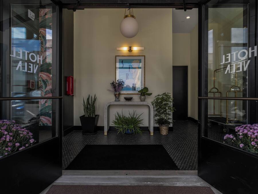 A hotel entrance with a reception desk, potted plants, and a black mat.