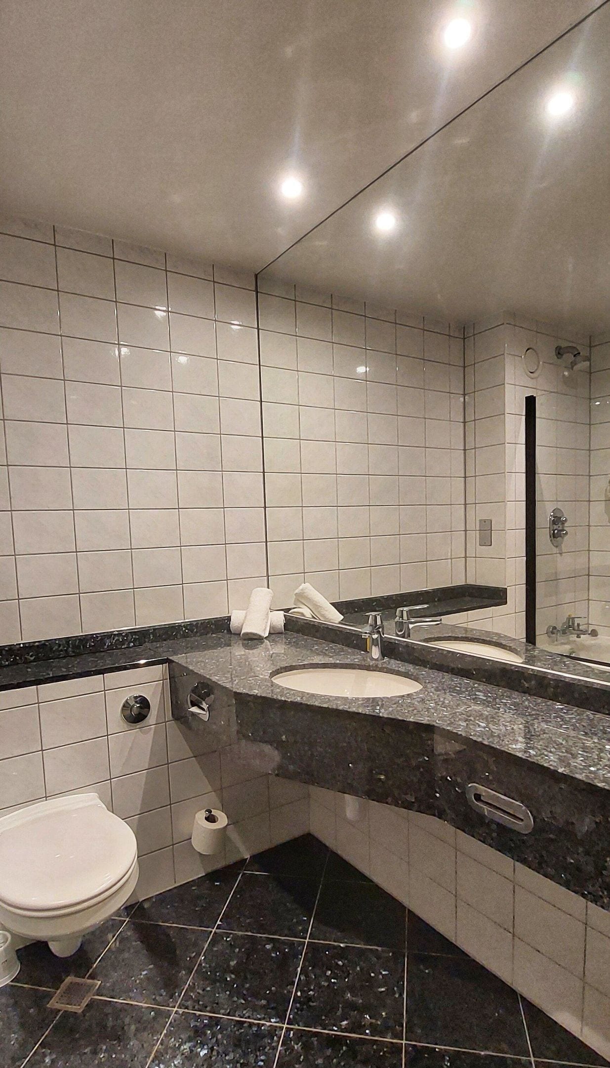 Et moderne badeværelse med en vask af sort marmor, toilet og bruseområde.