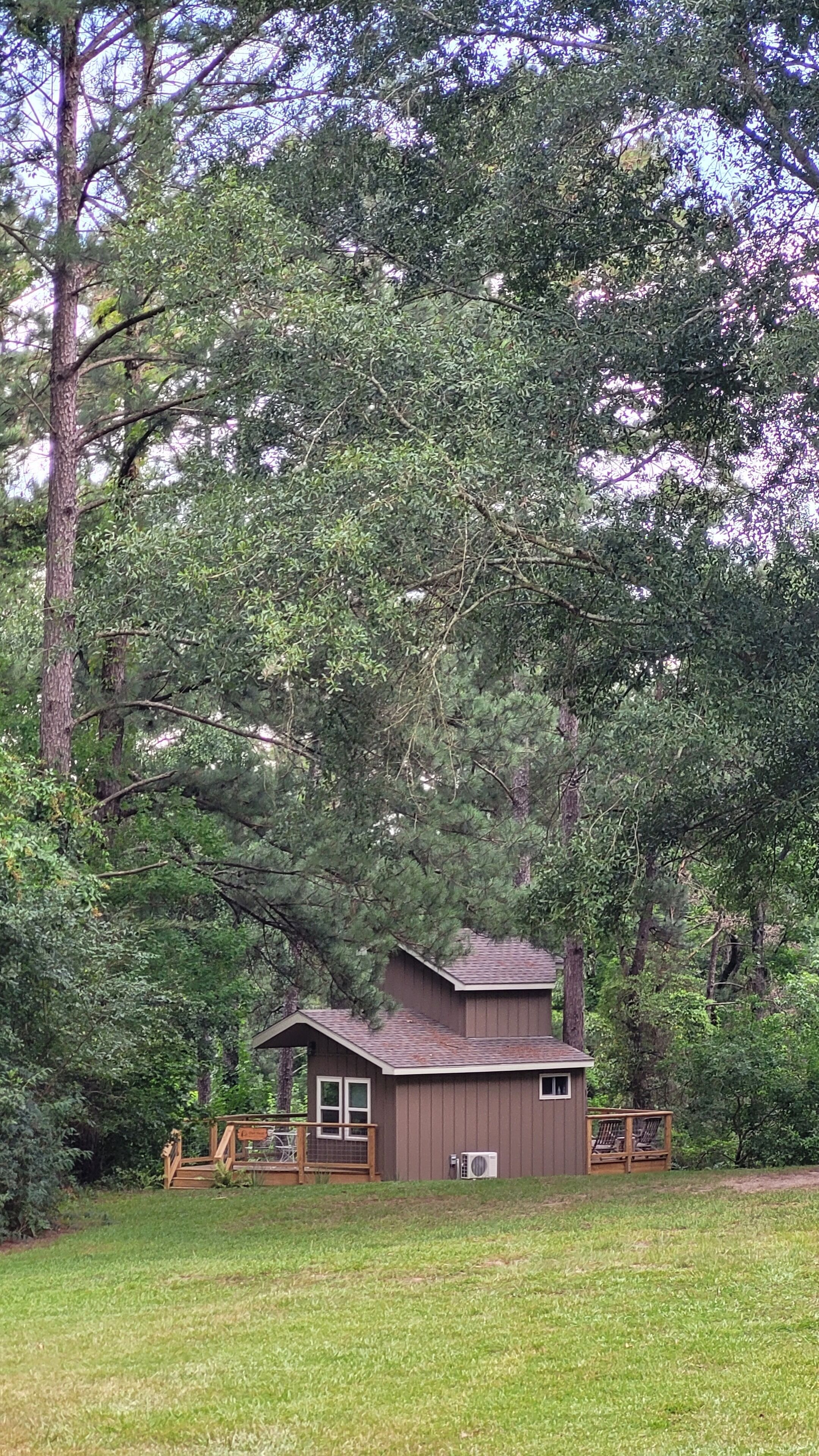 Une cabane dotée d’un petit porche et d’une seule pièce, entourée d’une forêt dense.