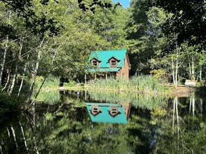 A cabin with a green roof surrounded by dense forest and a calm lake. - Lower Twin Cabin - 34 beautiful private acres of forest, meadows and riverfront. (Twin)