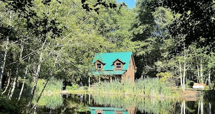 Lower Twin Cabin - 34 beautiful private acres of forest, meadows and riverfront.