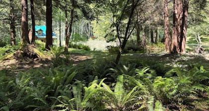 Lower Twin Cabin - 34 beautiful private acres of forest, meadows and riverfront.