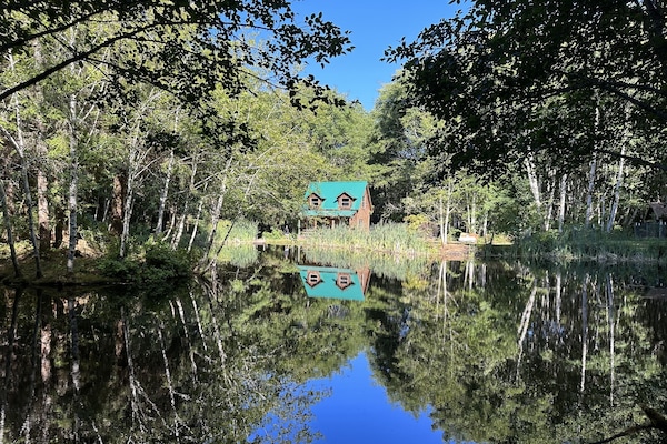 Lower Twin Cabin from across the pond