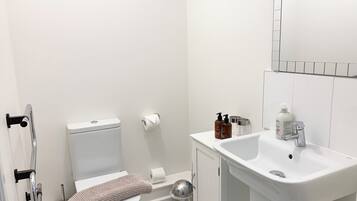 Shower, hair dryer, bidet, towels