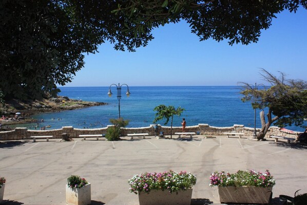 Área da propriedade