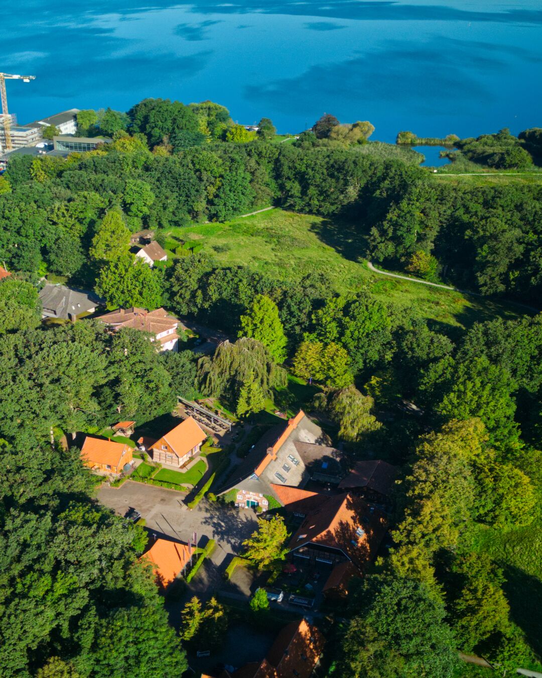An aerial view of a residential area with houses surrounded by dense greenery and a body of water in the background.