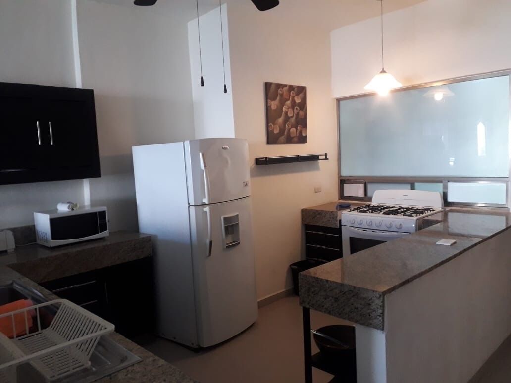 A compact kitchen with a refrigerator, microwave, and stove.