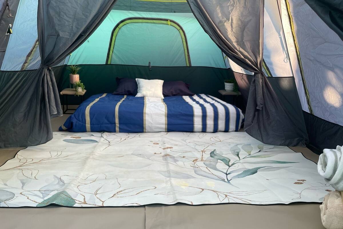 WiFi (free), bed sheets