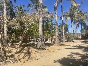 Terrace/patio - glamping las palmas (El Pescadero)