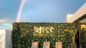 A rooftop pool area with three lounge chairs, a wall with greenery, and a rainbow in the sky.