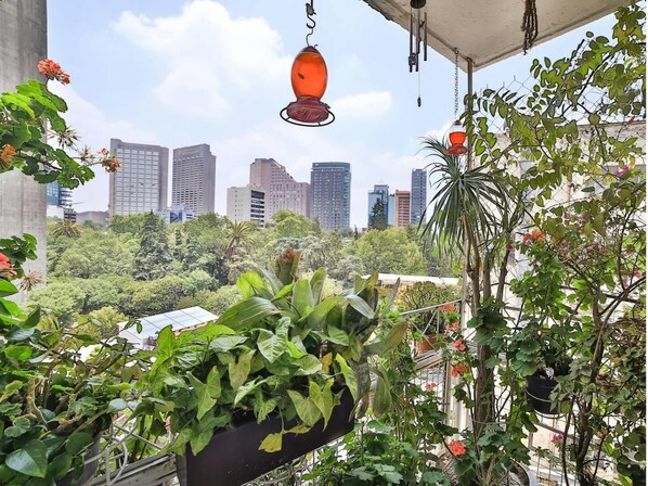 Property grounds - Casa Itzae B&B (Ciudad de México)