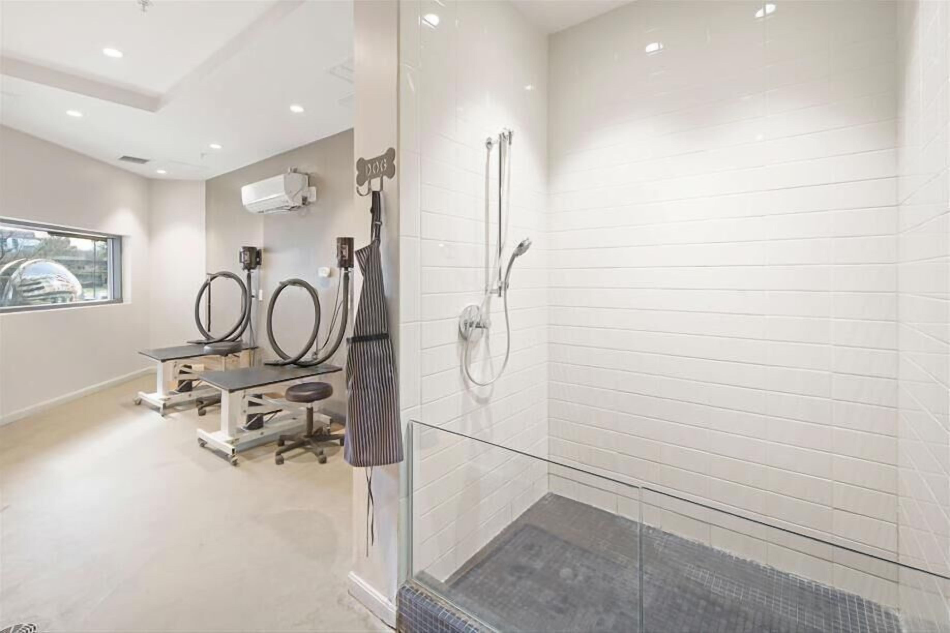 A modern bathroom with a glass shower enclosure, a vanity with a mirror, and a window providing natural light.