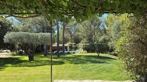 A well-maintained garden with a pool, surrounded by trees and a building with a tiled roof.