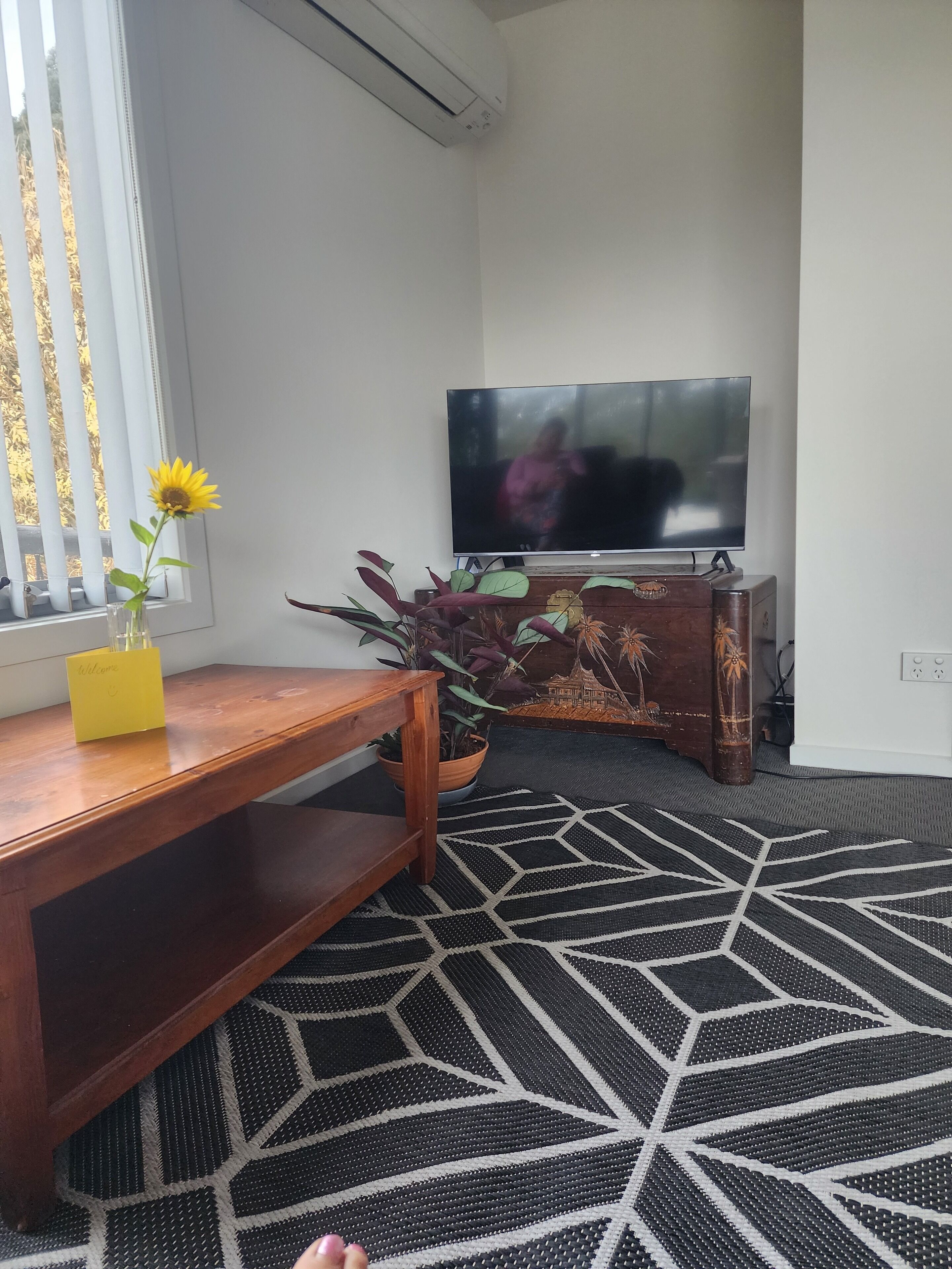 A living room with a wooden coffee table, a potted plant, a television on a wooden stand, and a patterned rug.
